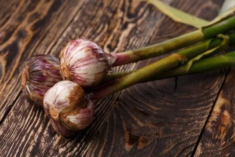 Fresh garlic Stock Photos