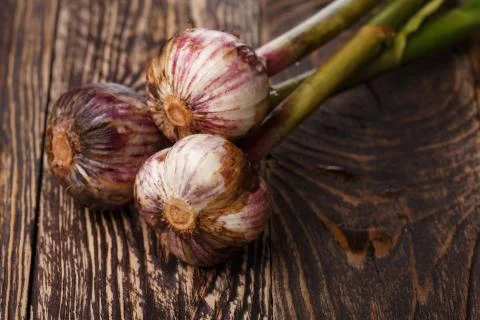 Fresh garlic Stock Photos