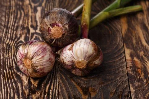 Fresh garlic Stock Photos
