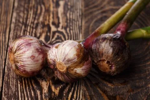 Fresh garlic Foto stock