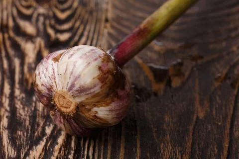 Fresh garlic Stock Photos