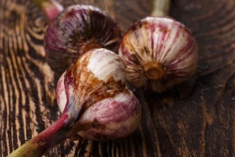Fresh garlic Stock Photos