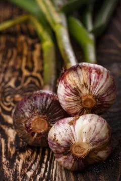 Fresh garlic Foto stock