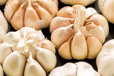 Fresh Garlic Stock Photos
