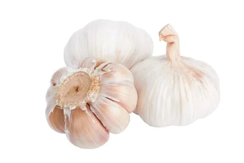 Fresh garlic Stock Photos