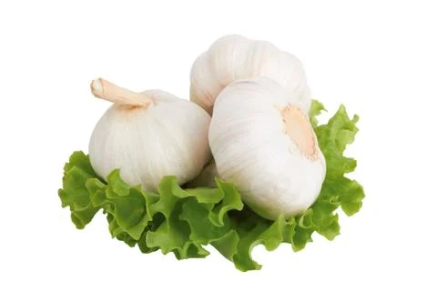 Fresh garlic Stock Photos