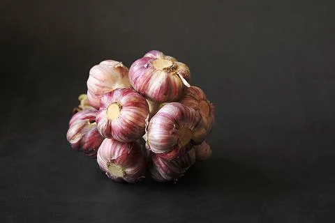 Fresh garlic Stock Photos