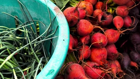 Fresh garlic scapes and beets at the farmers market Stock Footage 337437580
