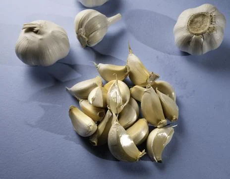 Fresh garlic on the table Photos