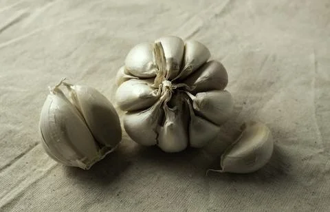 Fresh garlic on the table Photos