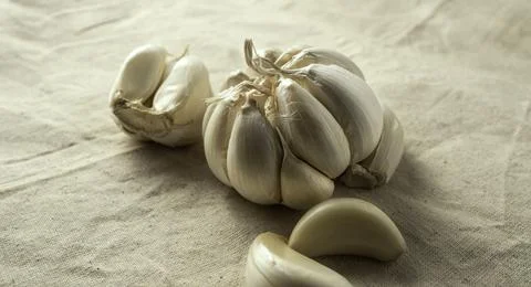 Fresh garlic on the table 写真素材