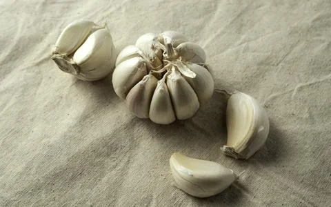 Fresh garlic on the table Фото