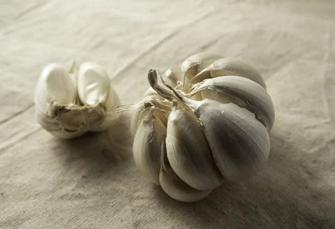 Fresh garlic on the table 写真素材