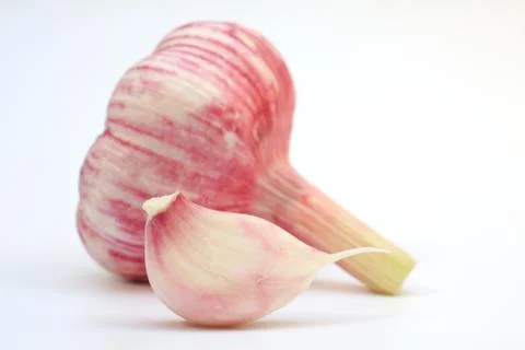 Fresh garlics Stock Photos