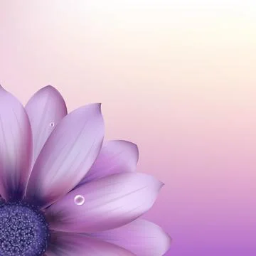 Fresh Gerber Illustrazione stock