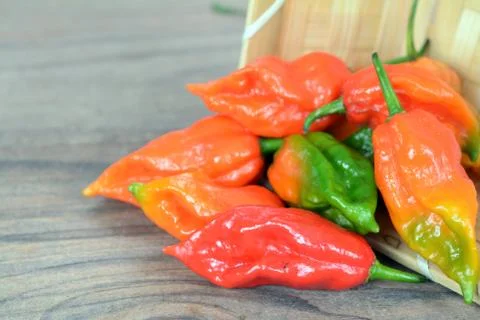 Fresh ghost pepper on the table Stock Photos