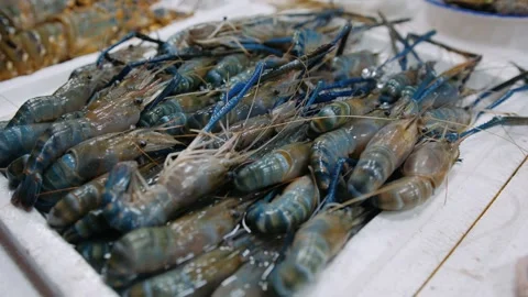 Fresh giant river prawns with blue legs at a traditional vietnam seafood mark Stock Footage 336981559