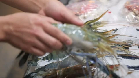 Fresh Giant River Prawns on Ice Bed at Seafood Market Stock Footage 344216854