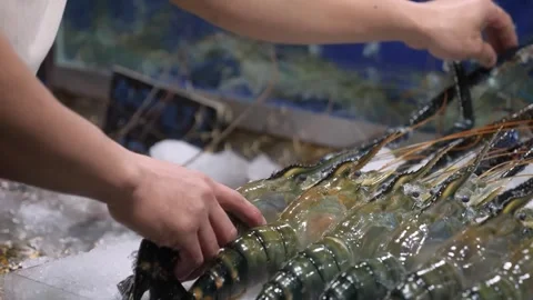 Fresh Giant Tiger Prawns on Ice Display at Seafood Market 動画素材 344218326