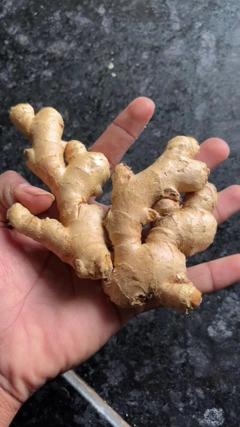 Fresh Ginger Close-Up Video in 4K Vertical Format Видео 322111204