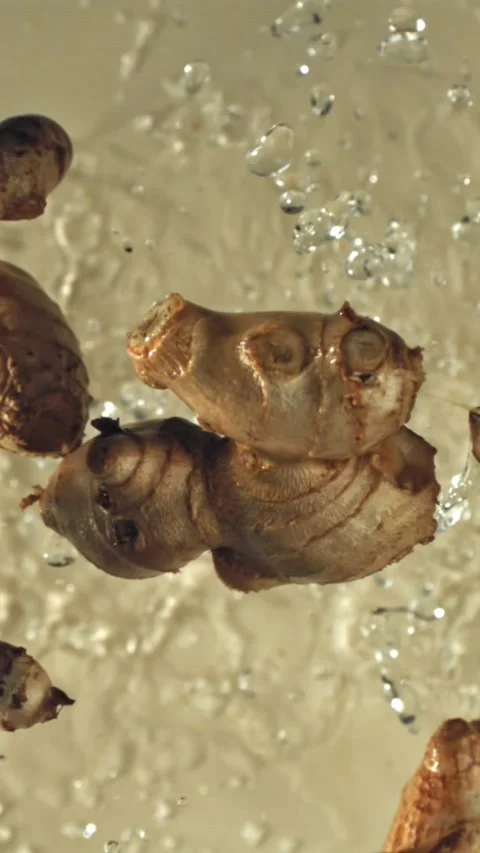 Fresh ginger flies up and falls down on a light background. Filmed on a high Stock Footage 335381866