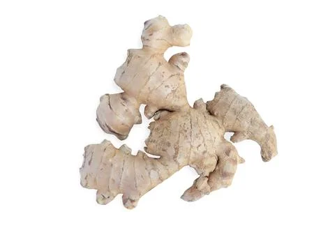Fresh ginger isolated on white background with clipping path.raw material Stock Photos