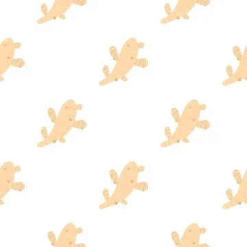 Fresh ginger pattern flat 库存插图