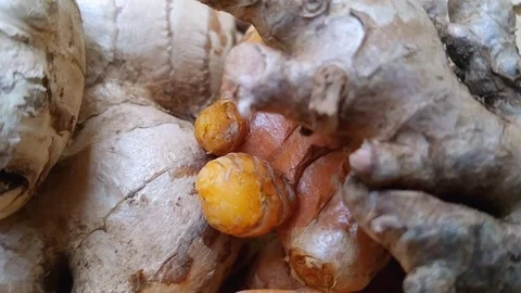 Fresh Ginger Red Ginger and Whole Turmeric on Woven Bamboo Mat Stock Footage 340538109