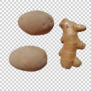 Fresh ginger root and two brown round biscuits on a flat surface Stock Photos