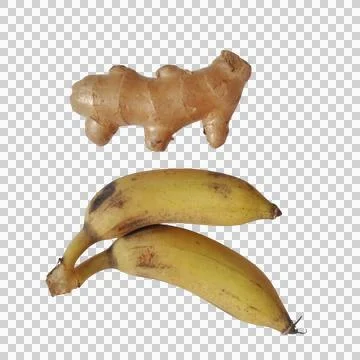 Fresh ginger root and two ripe yellow bananas lying together for healthy nu.. Фото