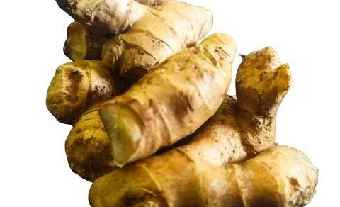 Fresh Ginger Root Close Up Isolated on White Background Stock Photos