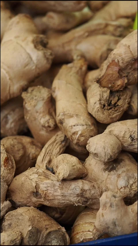 Fresh ginger root displayed at local market Stock Footage 329262697