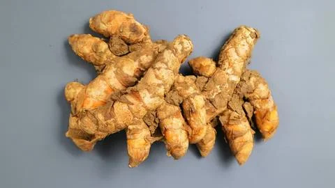 Fresh ginger root on gray background for cooking and health Stock Photos