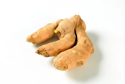 Fresh ginger root with green shoot Stock Photos
