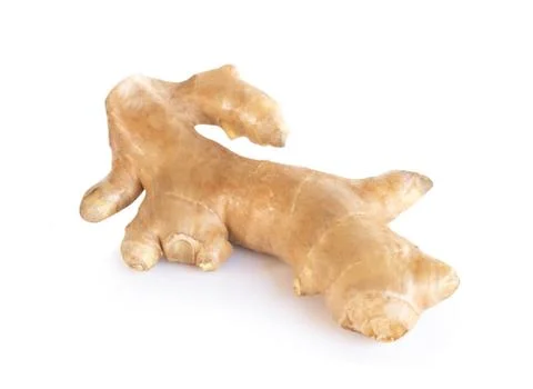 Fresh ginger root  islolated on white background for herb and medical product Stock Photos