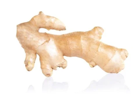 Fresh ginger root  islolated on white background for herb and medical product Stock Photos