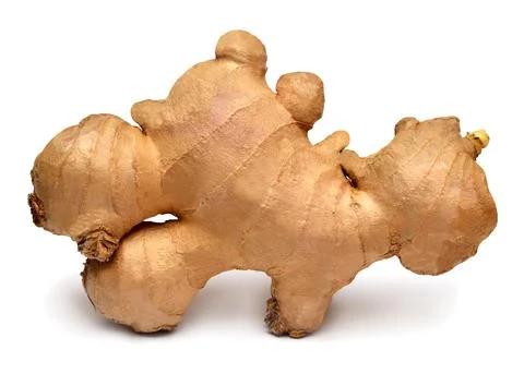Fresh ginger root isolated on white background. Creative medical concept, s.. Stock Photos