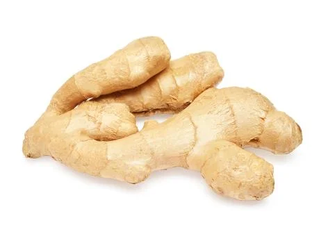 Fresh ginger root isolated on white background. Creative medical concept, s.. Stock Photos