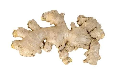 Fresh ginger root isolated on white background Stock Photos