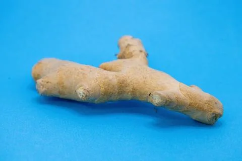 A fresh ginger root, known for its culinary and medicinal uses, is displayed  Stock Photos