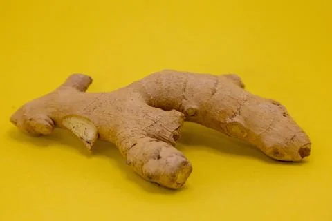 A fresh ginger root, known for its culinary and medicinal uses, rests on a vi Foto stock