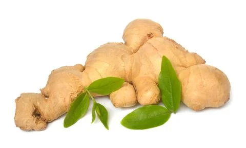 Fresh ginger root with leaves isolated on white background Foto stock