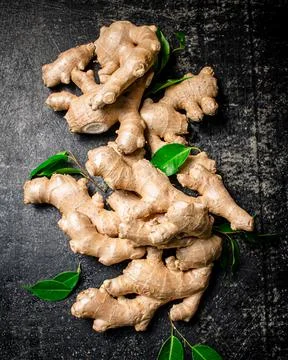 Fresh ginger root with leaves. Stock Photos