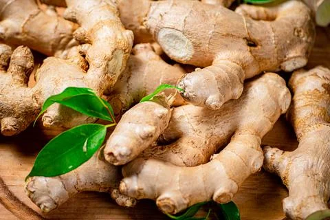 Fresh ginger root with leaves. Foto stock