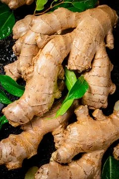 Fresh ginger root with leaves. Stock Photos