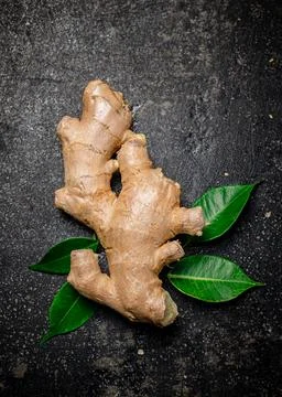 Fresh ginger root with leaves. Foto stock
