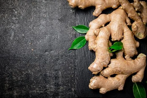 Fresh ginger root with leaves. Stock Photos