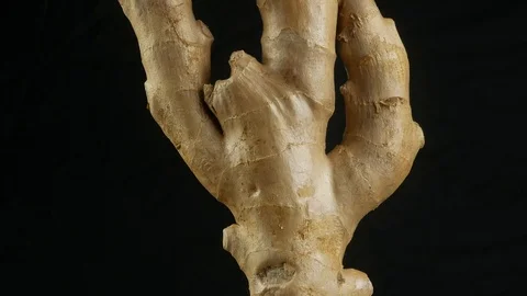 Fresh ginger root or rhizome Video stock 102187176