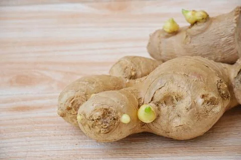 Fresh ginger root Stock Photos