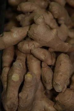 Fresh ginger root. 스톡 사진